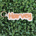 Double Layer Acrylic Name Key/Bag Tag