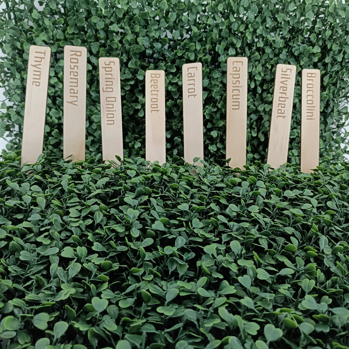 Custom Engraved Plant Stakes – Set of 6