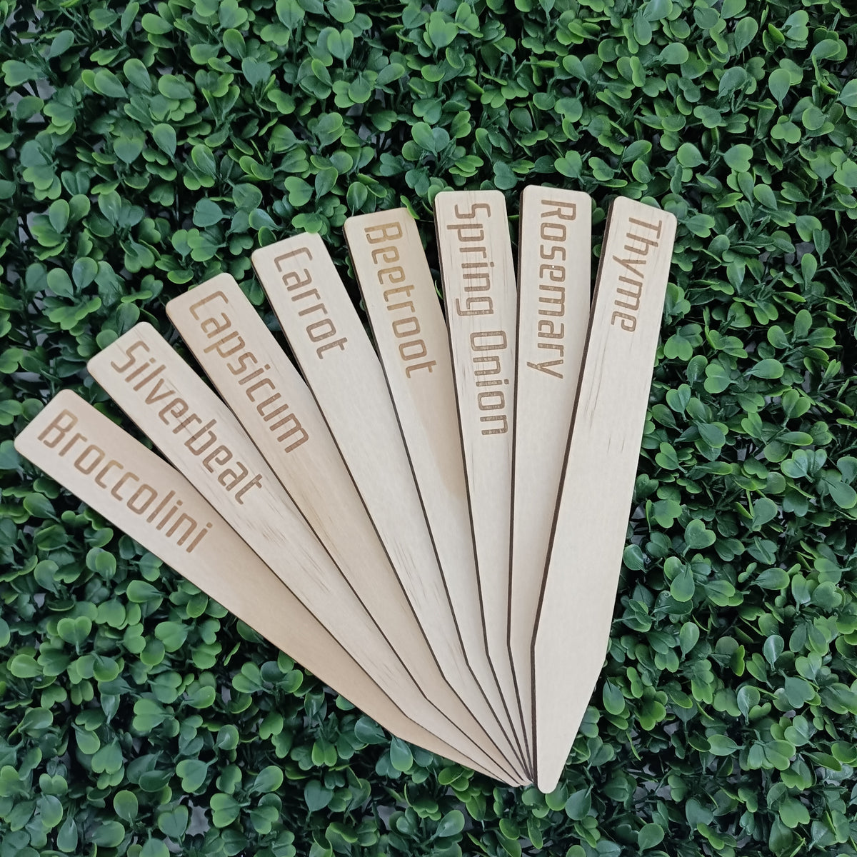 Custom Engraved Plant Stakes – Set of 6